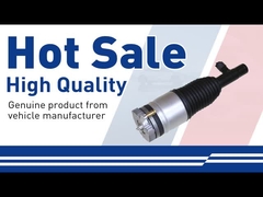 Amortisseur pneumatique - 31658904