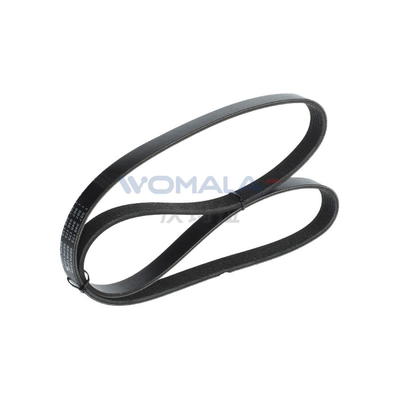 Ceinture d'entraînement du générateur Womala OE 30777807 pour Auto Parts S40 V50 C30 Pièces détachées de moteur automobile