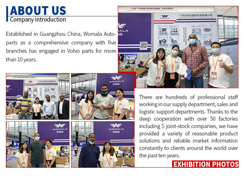 L'éclairage de la carrosserie Womala à droite OE 30655423 pour Auto Parts S80 -06